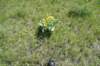 dsc_7292_fs_small.jpg