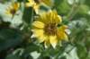 dsc_7293_fs_small.jpg