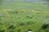 dsc_7295_fs_small.jpg