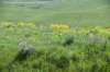 dsc_7296_fs_small.jpg
