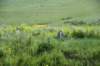 dsc_7297_fs_small.jpg