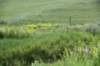 dsc_7298_fs_small.jpg