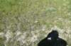 dsc_7323_fs_small.jpg