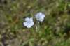 dsc_7324_fs_small.jpg