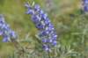 dsc_7326_fs_small.jpg