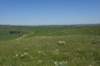 dsc_7338_fs_small.jpg