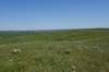 dsc_7339_fs_small.jpg