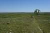 dsc_7340_fs_small.jpg