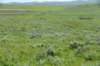 dsc_7351_fs_small.jpg