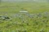 dsc_7353_fs_small.jpg