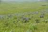 dsc_7354_fs_small.jpg