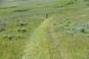 dsc_7355_fs_small.jpg