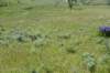 dsc_7356_fs_small.jpg