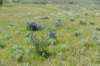 dsc_7357_fs_small.jpg