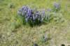 dsc_7358_fs_small.jpg