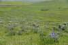 dsc_7363_fs_small.jpg