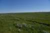 dsc_7365_fs_small.jpg
