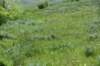 dsc_7366_fs_small.jpg