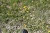 dsc_7367_fs_small.jpg