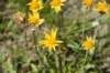dsc_7368_fs_small.jpg