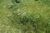 dsc_7369_fs_small.jpg