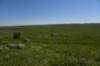 dsc_7371_fs_small.jpg