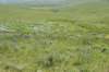 dsc_7374_fs_small.jpg