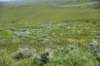 dsc_7375_fs_small.jpg