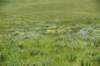 dsc_7377_fs_small.jpg