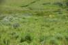 dsc_7378_fs_small.jpg