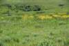 dsc_7379_fs_small.jpg
