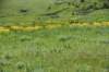 dsc_7380_fs_small.jpg