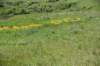 dsc_7381_fs_small.jpg