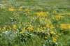 dsc_7382_fs_small.jpg