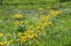 dsc_7383_fs_small.jpg