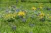 dsc_7385_fs_small.jpg