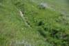 dsc_7386_fs_small.jpg