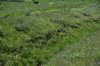dsc_7387_fs_small.jpg