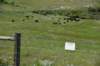 dsc_7389_fs_small.jpg