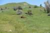 dsc_7398_fs_small.jpg
