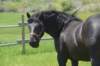 dsc_7457_fs_small.jpg