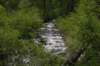 dsc_7495pineycreek_small.jpg