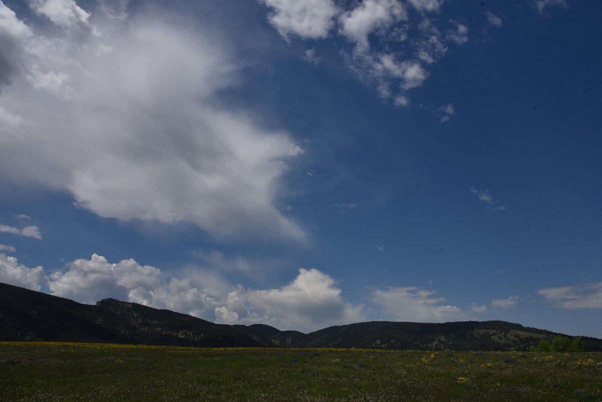 dsc_7514_fs.jpg