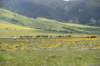 dsc_7517_fs_small.jpg