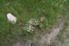 dsc_7518_fs_small.jpg