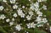 dsc_7519_fs_small.jpg