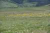 dsc_7546_fs_small.jpg