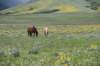 dsc_7548_fs_small.jpg