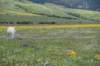 dsc_7550_fs_small.jpg