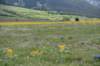 dsc_7551_fs_small.jpg